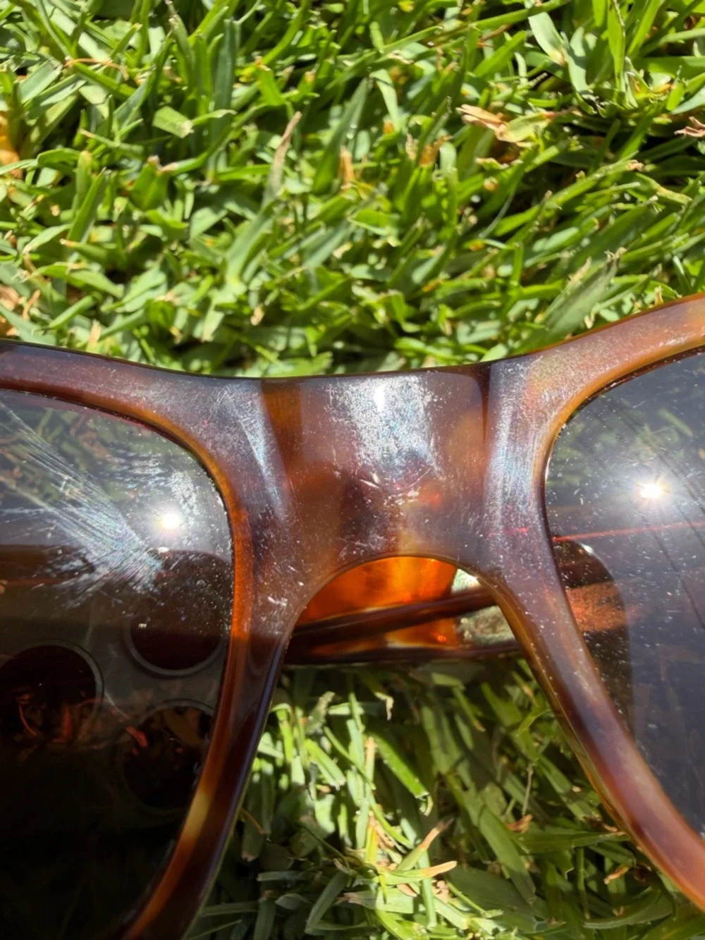 VTG l.a. Eyeworks Miles 142 Tortoise Shell Low Profile Sunglasses Artsy Italy